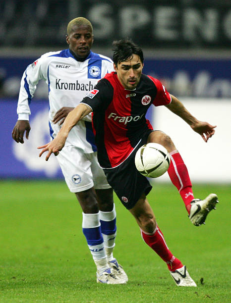 懈努力的结 懈努力的结